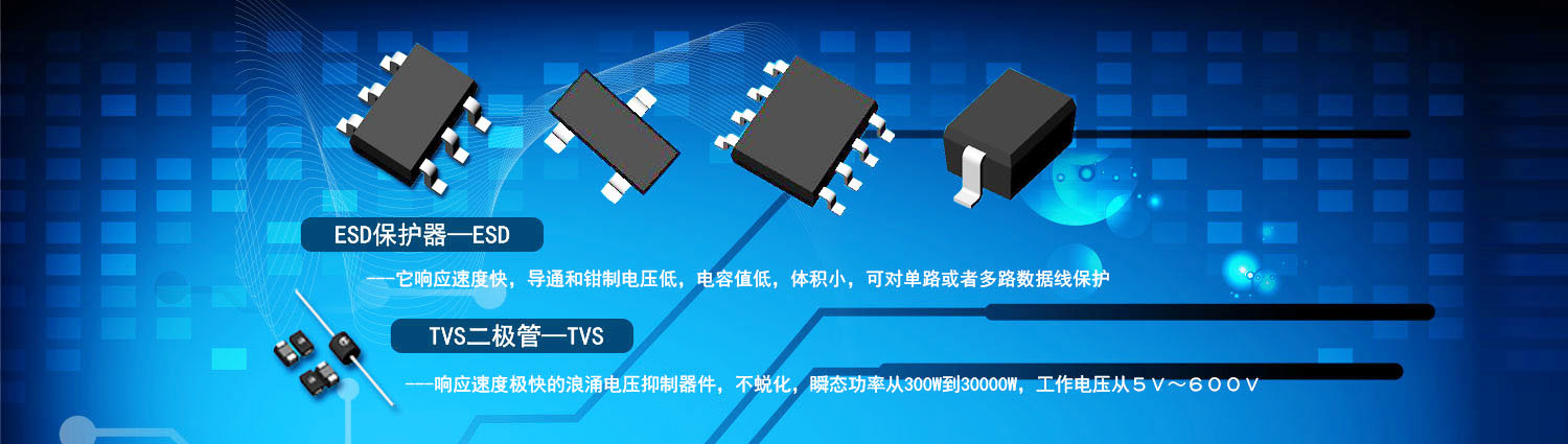 Sino Energy Corporation